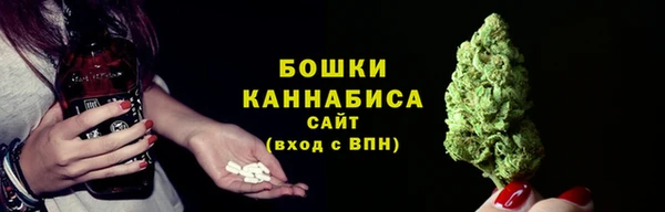 гидра Бутурлиновка