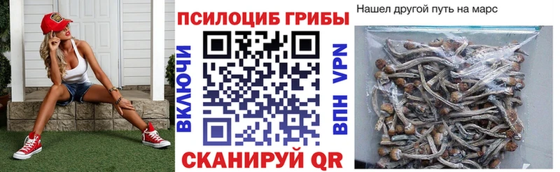 где купить   Мурино  маркетплейс клад  Галлюциногенные грибы прущие грибы 