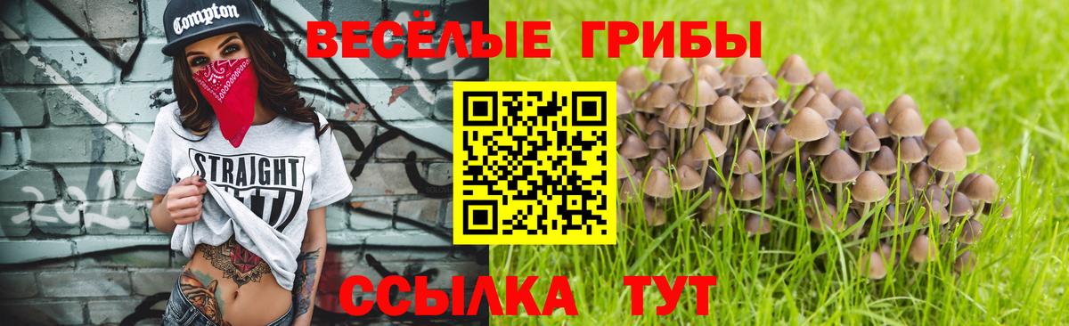 Мурино  Псилоцибиновые грибы Magic Shrooms  наркошоп  Вход с VPN  Галлюциногенные грибы прущие грибы 