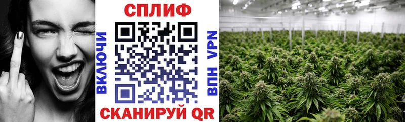 МАРИХУАНА White Widow  Мурино 